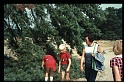36.Veluwe aug 1973 Ilse,Brigitte,Marion,Peter